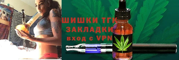 эйфоретик Гусев