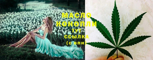 2c-b Горняк