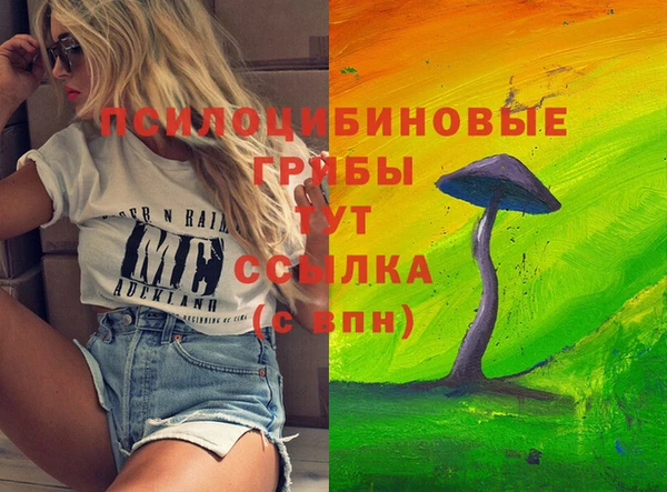 не бодяженный Гусь-Хрустальный