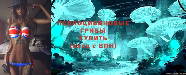 не бодяженный Гусь-Хрустальный