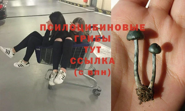 гашик Гусиноозёрск