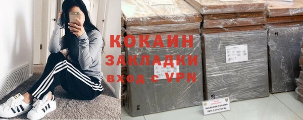 эйфоретик Гусев