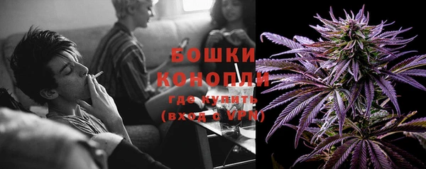 2c-b Горняк