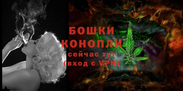 эйфоретик Гусев