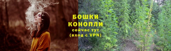 гашик Гусиноозёрск