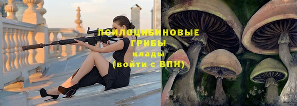 гашик Гусиноозёрск