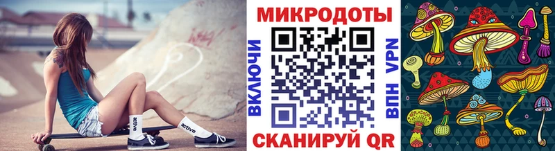 Купить  Лагань  Галлюциногенные грибы Cubensis 